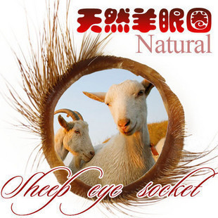 陰莖套環(huán)--羊眼圈鎖精環(huán)計生夫妻情趣環(huán)套環(huán)